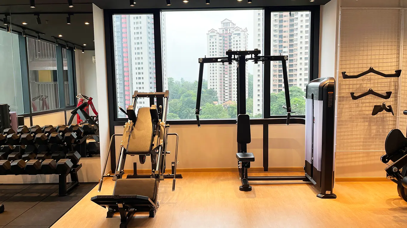 下半身と胸部を鍛えるマシン